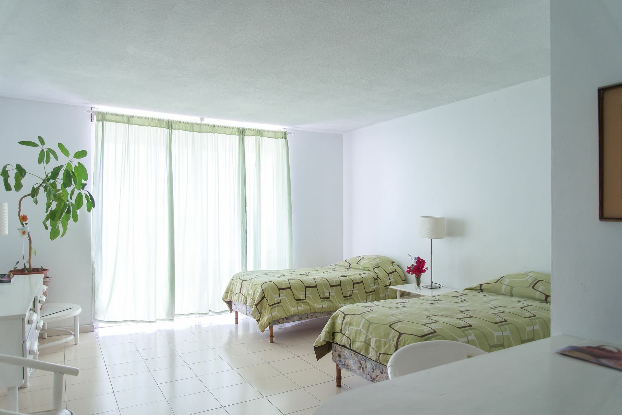 Montego Bay Club Apartments Kültér fotó